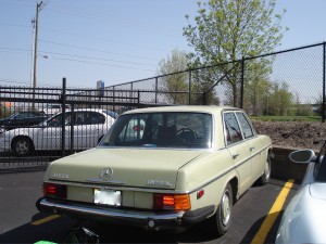 little-greenie-rear