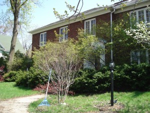 road-into-the-house