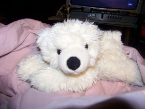 bing-fluffy
