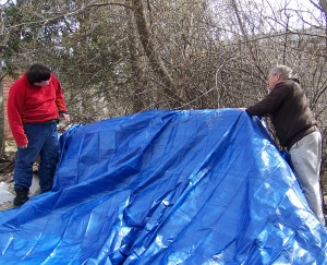 judging-the-tarp