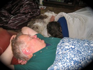 dozed off dozed off