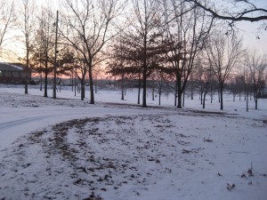 cold morning