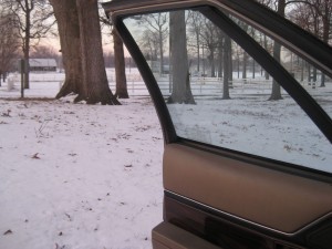 stupid in the cold