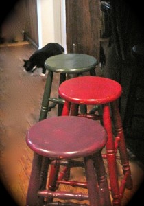three stools and a cat