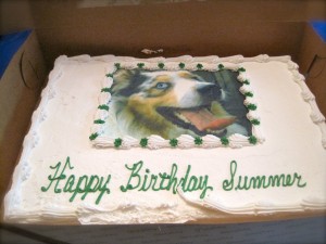 summer cake