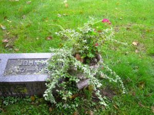grandpa flowers