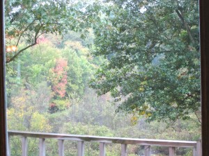 view fall