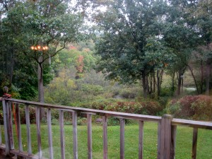 view three
